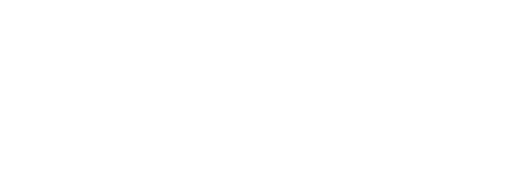 BRI-E.bits